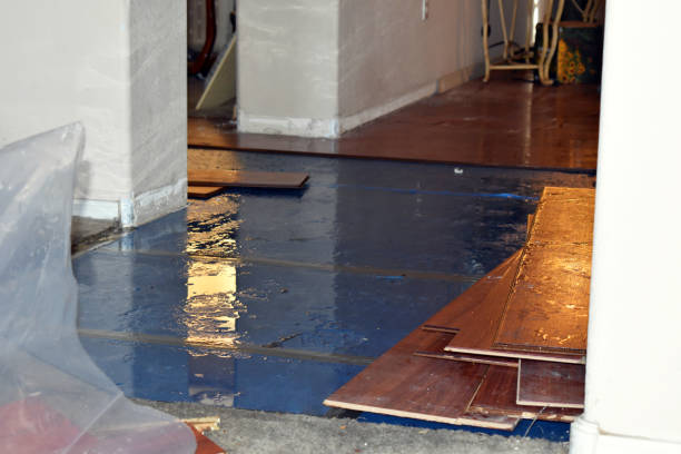 Professional Basement Flood Cleanup technician working in Wading River, NY